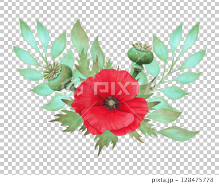 Red poppy composition with pods, turquoise branch. Botanical herbaceous plant. Watercolor illustration. Hand drawn isolated art. Symbolism of memory and peace. Wild flowers for packaging, postcards Red poppy composition with pods, turquoise branch. Botanical herbaceous plant. Watercolor illustration. Hand drawn isolated art. Symbolism of memory and peace. Wild flowers for packaging, postcards 128475778