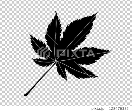 秋葉的黑白插圖（有白色邊框） 128476385