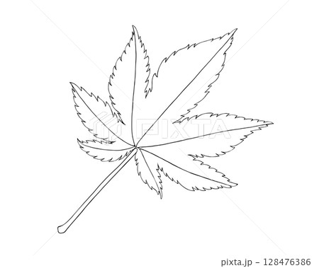 紅葉の葉のシンプルな線画イラスト 128476386