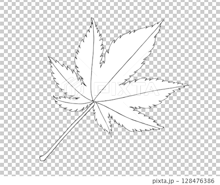 秋葉的簡單線條畫插圖 128476386