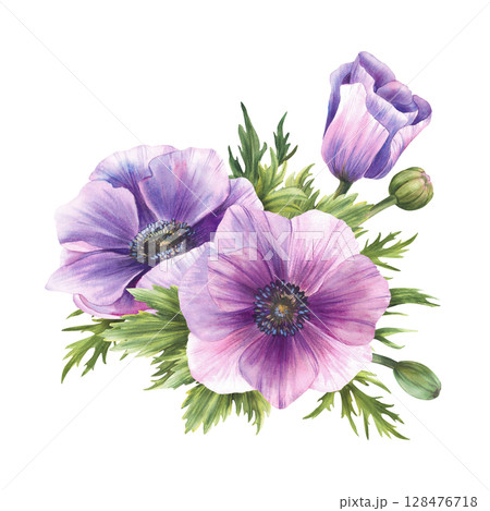 Purple Anemone Watercolor flowers Bouquet. Windflowers Pink lilac and green buds isolated clipart. Bunch of flower for wedding, birthday, valentines tag greeting card design. Hand drawn illustration Purple Anemone Watercolor flowers Bouquet. Windflowers Pink lilac and green buds isolated clipart. Bunch of flower for wedding, birthday, valentines tag greeting card design. Hand drawn illustration 128476718