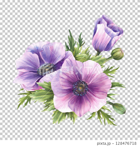 Purple Anemone Watercolor flowers Bouquet. Windflowers Pink lilac and green buds isolated clipart. Bunch of flower for wedding, birthday, valentines tag greeting card design. Hand drawn illustration Purple Anemone Watercolor flowers Bouquet. Windflowers Pink lilac and green buds isolated clipart. Bunch of flower for wedding, birthday, valentines tag greeting card design. Hand drawn illustration 128476718
