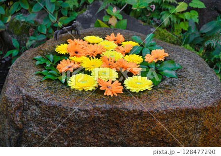鎌倉　一条恵観山荘　美しい花手水（神奈川県鎌倉市） 128477290