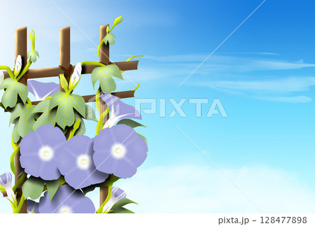 夏空に薄紫色の朝顔の暑中見舞いのハガキテンプレート 夏空に薄紫色の朝顔の暑中見舞いのハガキテンプレート 128477898