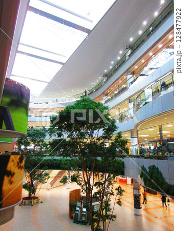 中山競馬場の様々な風景 128477922