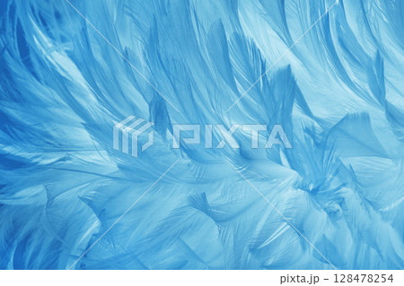 Beautiful blue pastel bird feathers pattern texture background. Beautiful blue pastel bird feathers pattern texture background. 128478254