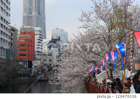 横浜大岡川沿いの桜 128478316