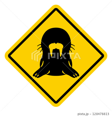 セイウチ注意の標識イラスト 128478813
