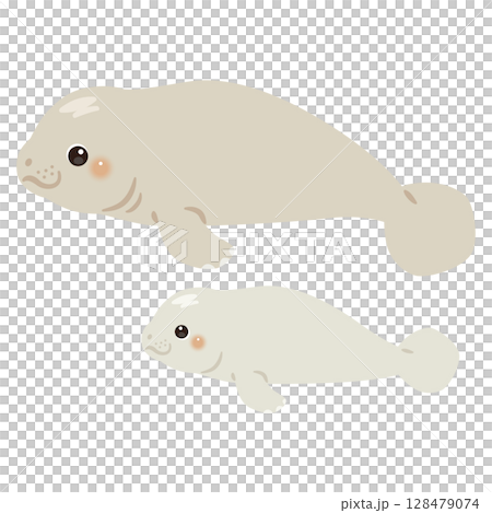 マナティの親子イラスト 128479074