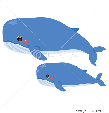 クジラの親子イラスト 128479098