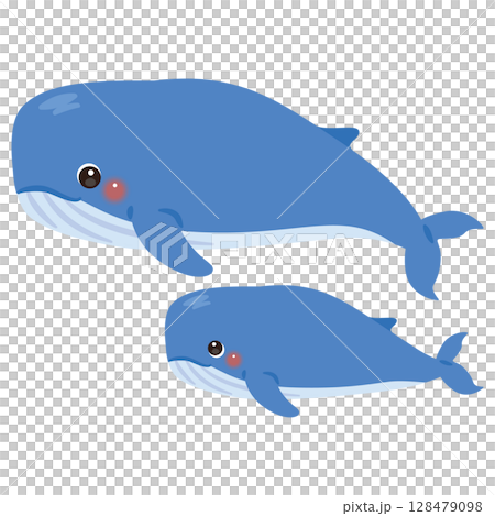 クジラの親子イラスト 128479098
