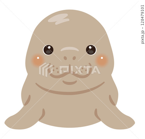 正面から見たジュゴンのイラスト 128479101