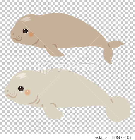 Dugong and manatee horizontal illustration set 128479103