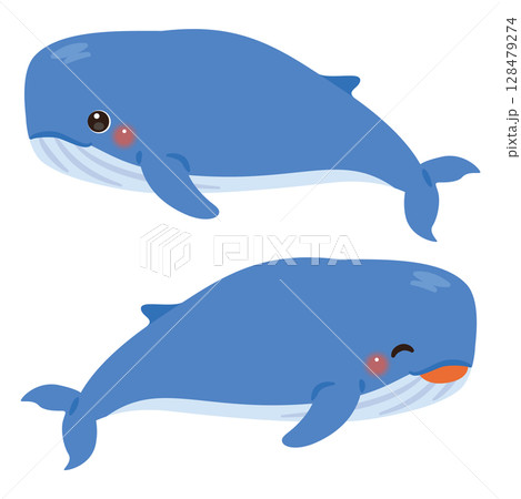 クジラの横向きイラストセット クジラの横向きイラストセット 128479274