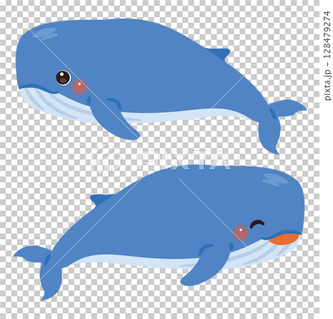 Whale horizontal illustration set 128479274