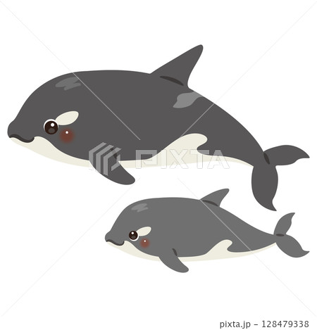 シャチの親子イラスト 128479338