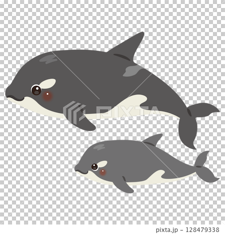 シャチの親子イラスト 128479338