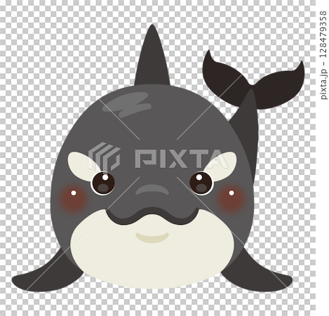 從正面看到的虎鯨插圖 128479358