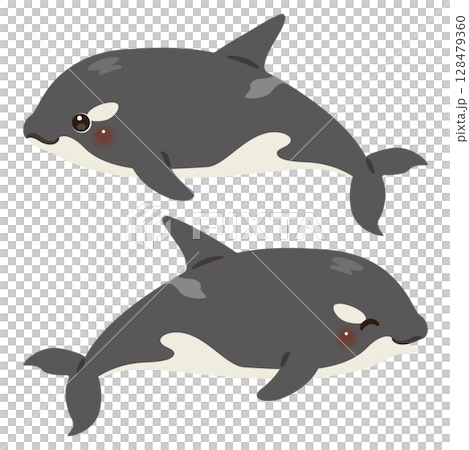 Killer whale horizontal illustration set Killer whale horizontal illustration set 128479360