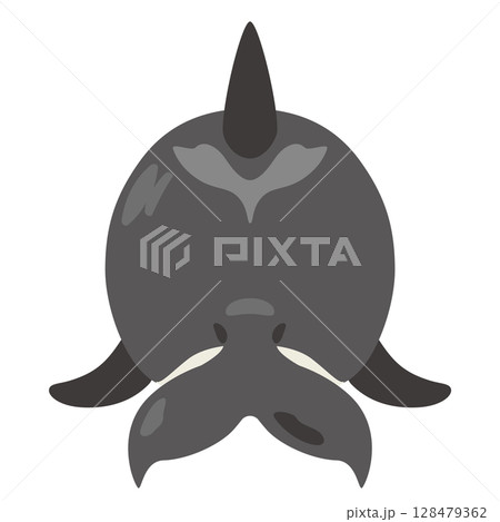 背後から見たシャチのイラスト 128479362