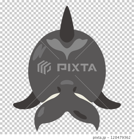 Illustration of a killer whale seen from behind 128479362