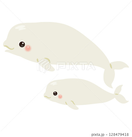 シロイルカの親子イラスト 128479418