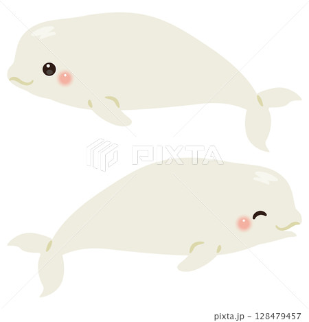 シロイルカの横向きイラストセット 128479457