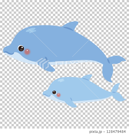 Dolphin parent and child illustration Dolphin parent and child illustration 128479484