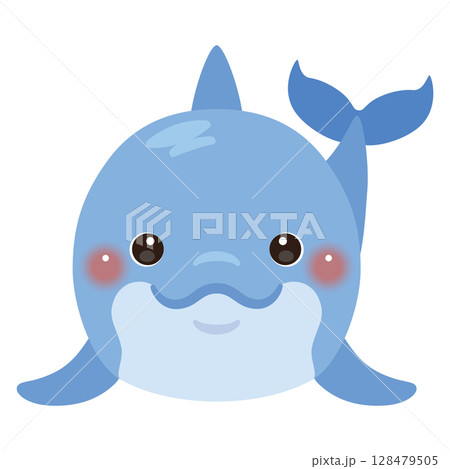 正面から見たイルカのイラスト 128479505