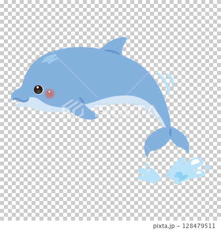 ジャンプするイルカのイラスト 128479511