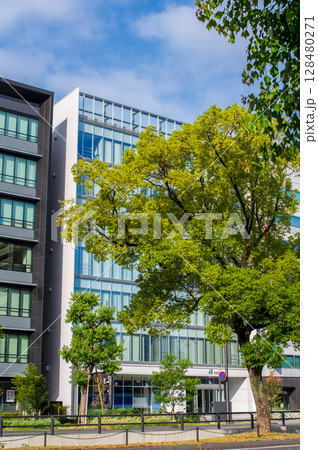 地方都市のオフィス街と街路樹「三重県 四日市市」 地方都市のオフィス街と街路樹「三重県 四日市市」 128480271
