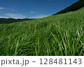風に揺れる草原 128481143
