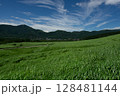 風に揺れる草原 128481144