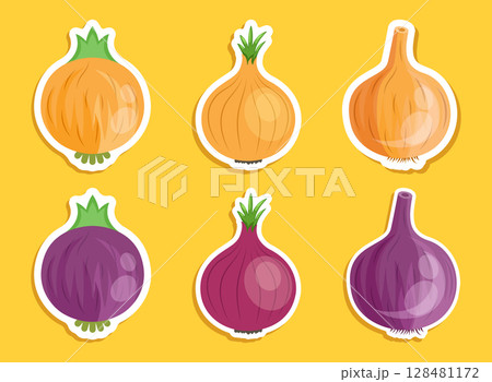 Onion paper sticker icon set collection in flat style. Organic vegetable vector illustration on isolated background. Healthy food sign business concept. 128481172