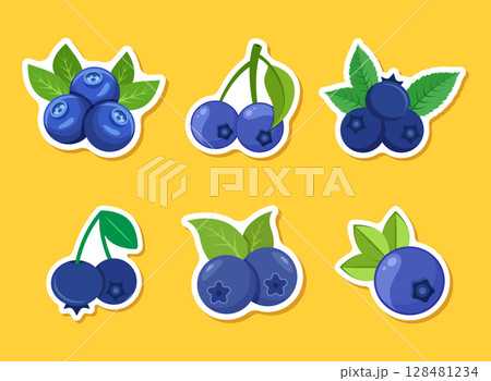 Blueberry fruit paper sticker icon set collection in flat style. Bilberry vector illustration on isolated background. Sweet berry sign business concept. 128481234