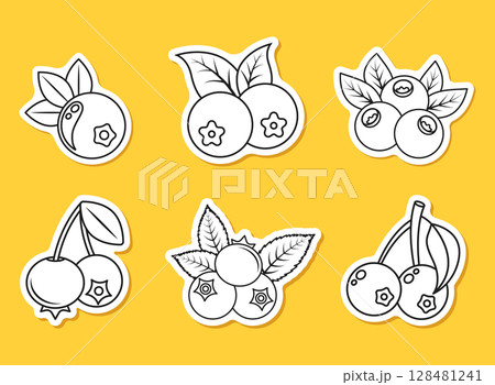 Blueberry fruit paper sticker icon set collection in flat style. Bilberry vector illustration on isolated background. Sweet berry sign business concept. 128481241