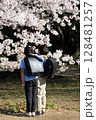 桜の下で記念撮影をする小学生 128481257