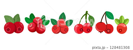 Cranberry fruit icon set collection in flat style. Lingonberry vector illustration on isolated background. Fresh berry sign business concept. 128481308