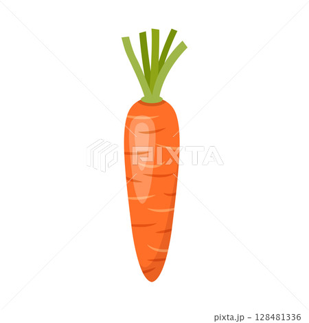 Carrot vegetable icon in flat style. Healthy food vector illustration on isolated background. Natural meal sign business concept. Carrot vegetable icon in flat style. Healthy food vector illustration on isolated background. Natural meal sign business concept. 128481336