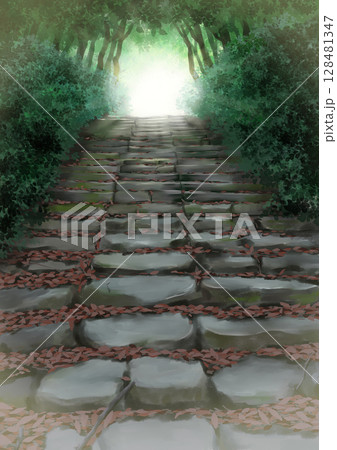 光輝く山の中の苔むした石段の風景イラスト 128481347