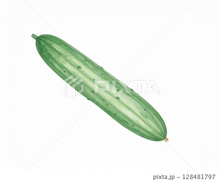 きゅうり きゅうり 128481797