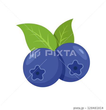 Blueberry fruit icon in flat style. Bilberry vector illustration on isolated background. Sweet berry sign business concept. 128481814