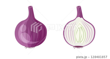 Onion icon in flat style. Organic vegetable vector illustration on isolated background. Healthy food sign business concept. 128481857