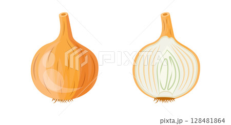Onion icon in flat style. Organic vegetable vector illustration on isolated background. Healthy food sign business concept. Onion icon in flat style. Organic vegetable vector illustration on isolated background. Healthy food sign business concept. 128481864