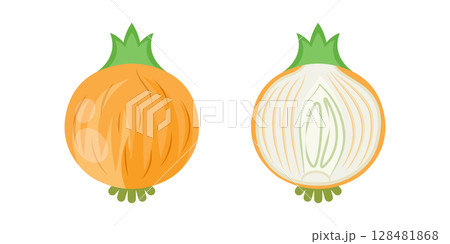 Onion icon in flat style. Organic vegetable vector illustration on isolated background. Healthy food sign business concept. 128481868