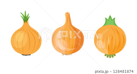 Onion icon set collection in flat style. Organic vegetable vector illustration on isolated background. Healthy food sign business concept. 128481874
