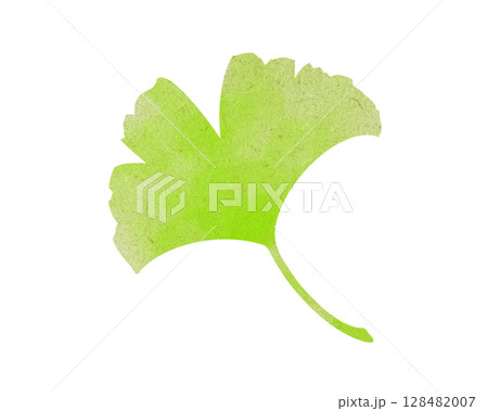 緑色のイチョウの葉の水彩調イラスト 緑色のイチョウの葉の水彩調イラスト 128482007
