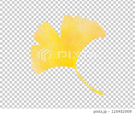 黃色銀杏葉的水彩插圖 128482009