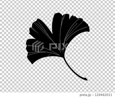 銀杏葉的黑白插圖（有白色邊框） 128482011
