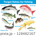 釣り対象魚 128482167